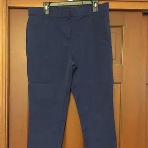 Isaac Mizrahi Live Blue Pants, Size 16
